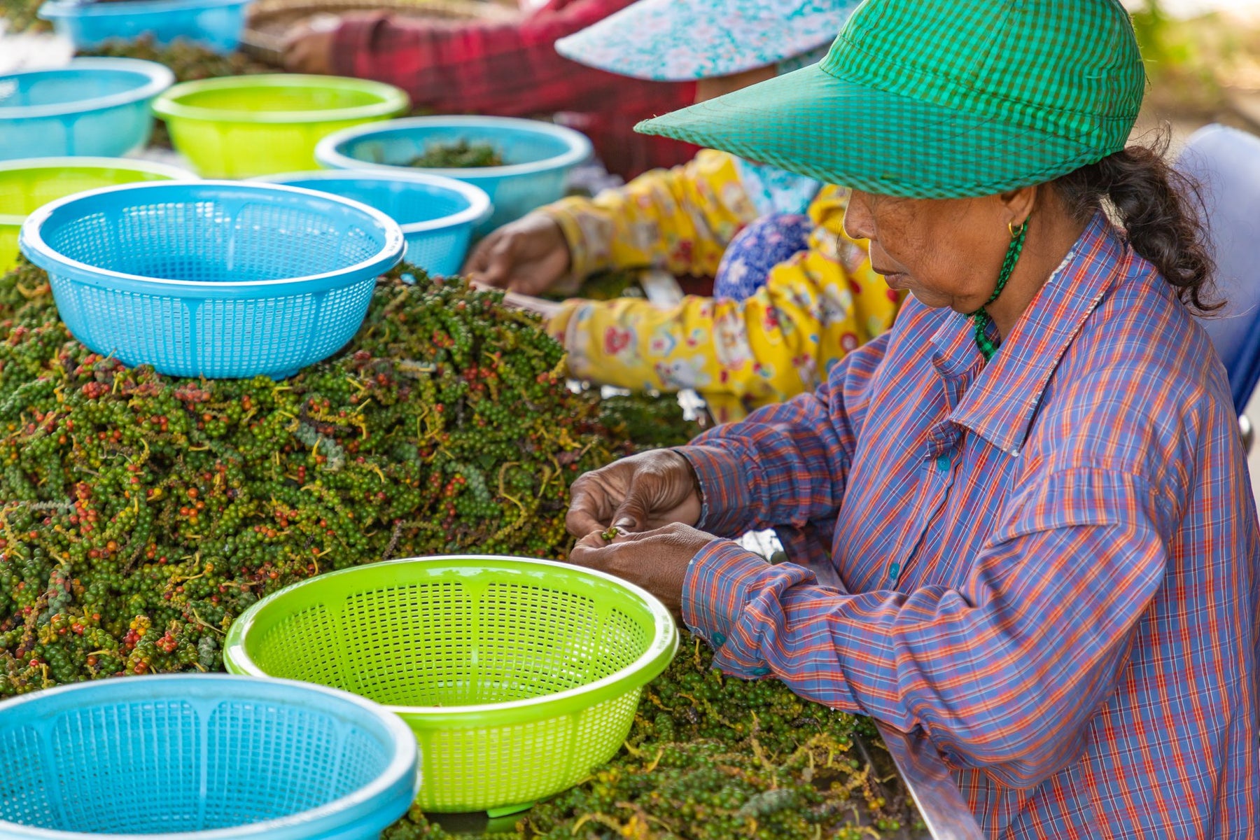 Kampot Pepper USA WFTO - World Fair Trade Certified