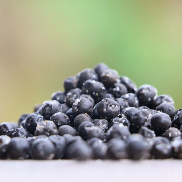 Kampot Salted Whole Peppercorns - 50g Recycled Paper Pouch